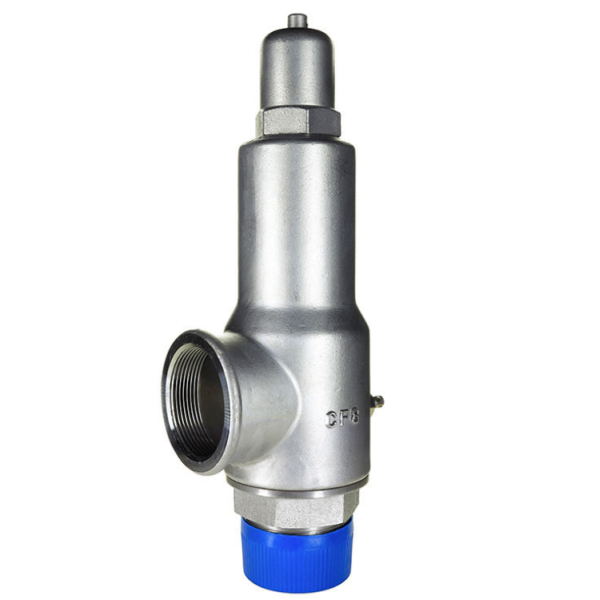 DN50 Safety Valve for Liquid Nitrogen Competitive Price for Pressure Regulation