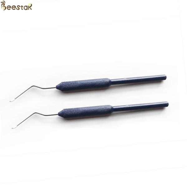 Aiguille de transfert de larves d'abeille d'acier inoxydable greffant l'outil avec la poignée bleue