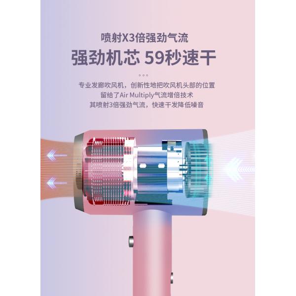 Advanced Blue Light Ion Technology Net Red Hair Dryer with High Power and Hot/Cold Air