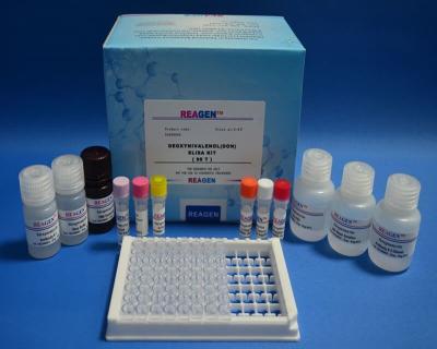 0.2ng/G Ppb Sensitivity Kanamycin ELISA Kit Testing Drugs High Accuracy