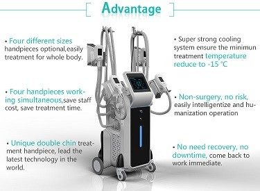 Salon use 4 handles freeze fat beauty cryo crypolysis fat freezing machine weight loss