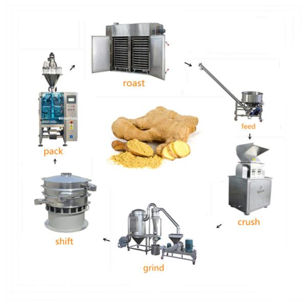 La capacidad 100-1800kg/Hr condimentó 15m m Ginger Crusher Machine