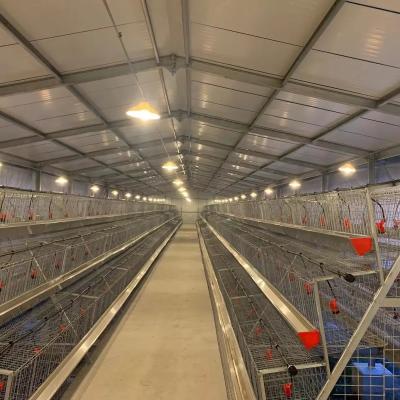 Industrial Warehouse Living Durable Steel Structure Chicken Coop for Comfortable Space