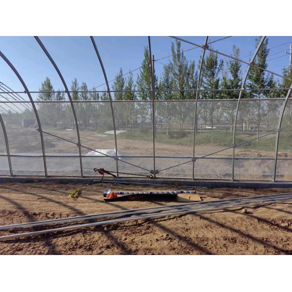 Solar Greenhouse Plastic Greenhouse For Grow Vegetables Galvanized Steel