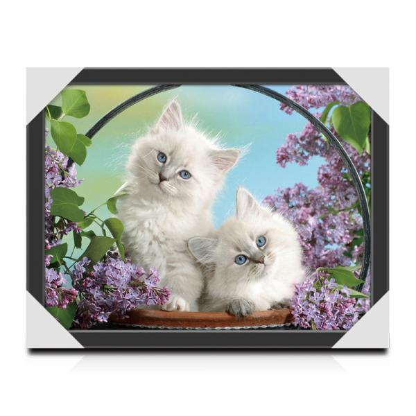 Wall Art 3D Lenticular Picture Flip Cute Cats And Dolphins With 12X17 Inches