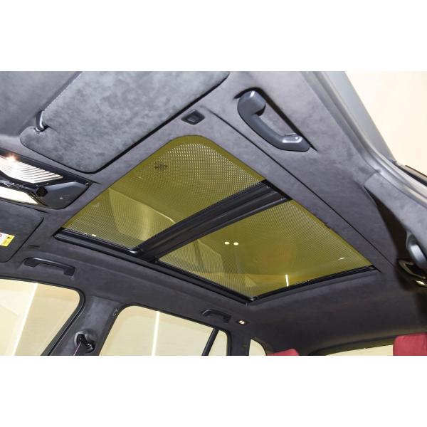 BMW X5 Mild Hybrid Coche usado 5 puertas 5 asientos 3.0T L6 48V SUV deportivo 250km/h Volante multifunción