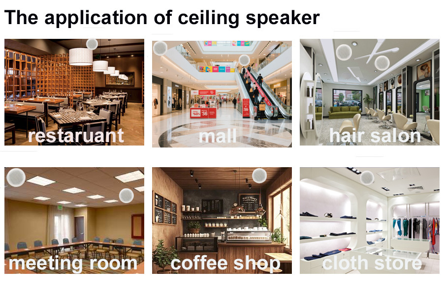 6 Inch Coaxial Speaker 30W Commercial Ceiling Speaker OEM ODM Loudspeaker