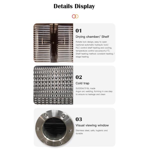 Коммерческий вакуумный морозильный сушильщик для фруктов и овощей