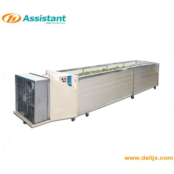 DL-CHZ-9B Black Tea Dryer Machine and Tea Processing Equipment for Small-Scale Production