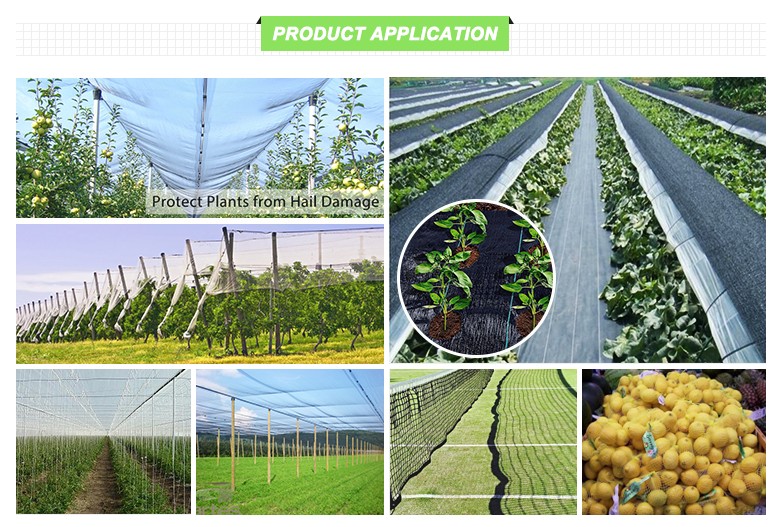 20 / 30 / 50 Mesh Insect Mesh Netting Lightweight Fruit Tree Cover