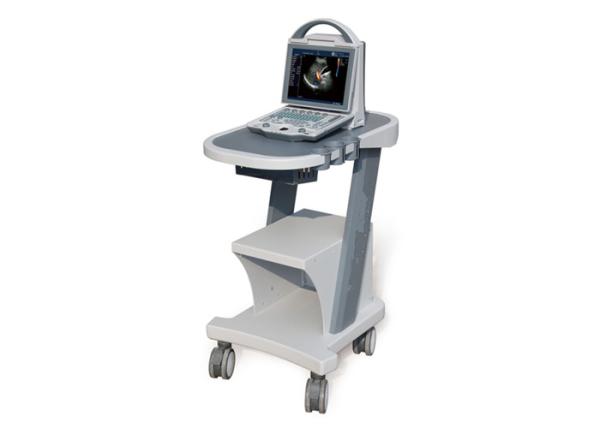10.4 Inch Screen Portable Ultrasound Scanner Color Doppler Machine With Trolley Optional