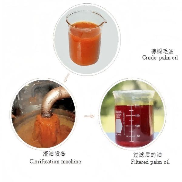 1-2T/H Automatic Edible Oil Production Line Palm Oil Presser for Efficient Palm Oil Processing