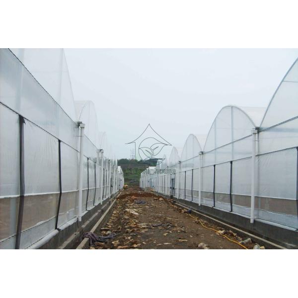 Factory manufacturer Plastic film arch galvanized steel pipe multi-span agricultural greenhouse