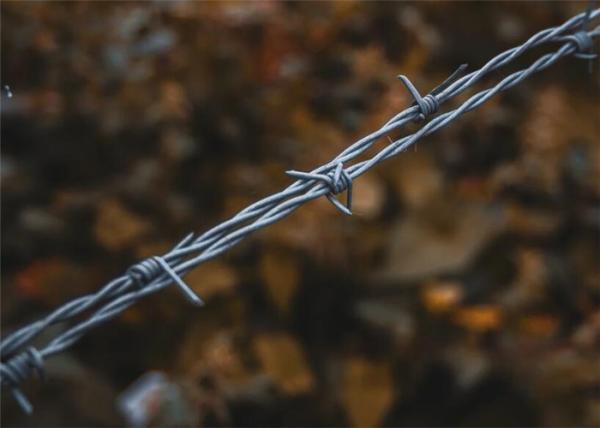 A proteção da jarda galvanizou o calibre 14*16 de aço do arame farpado 15mm