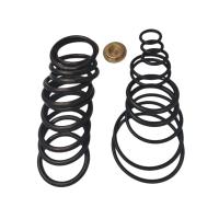 Padeiro Type O Ring Redress Kit #10 que ajusta as ferramentas de borracha da conclusão do Downhole do selo
