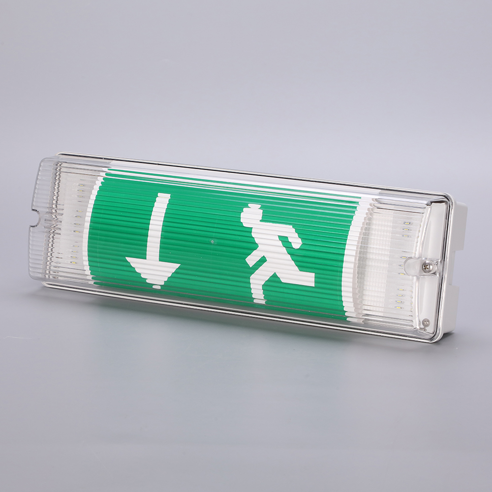 IP65 5W LED Emergency Light with 3-Year Warranty Ceiling Mount Emergency Light