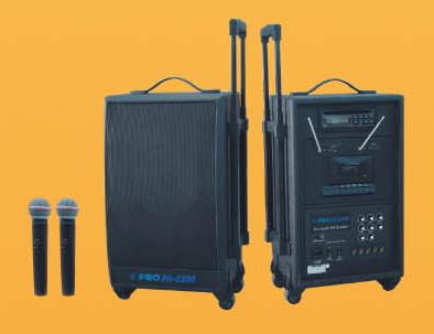 portable professional trolley speaker/mobile speaker with USB/SD/Guitar/DVD function