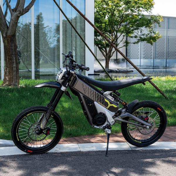 72V Mid Mounted Permanent Magnet Synchronous Motor Electric Bikes for Riding Experience