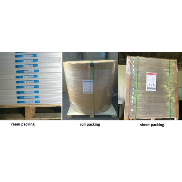 copy paper jumbo roll 70 копировальная машина слон Rolls Woodfree 80 GSM высокой белизны Uncoated бумажная