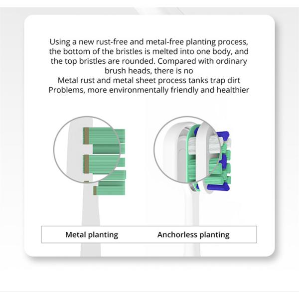 Portable Ipx7 Sonic Household Adult Electric Tooth Brush Electronic Toothbrush