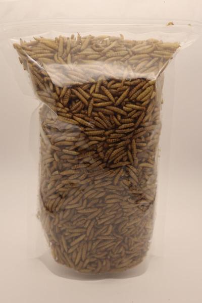 B2B Buyers Delight Nutritious Black Soldier Fly Meal from