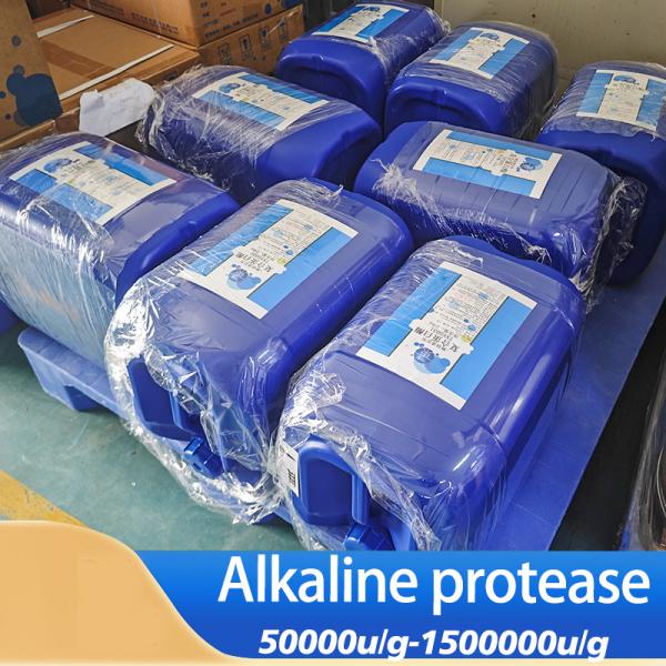 2.4L Enzymes protéolytiques dans le Bacillus Licheniformis 2709