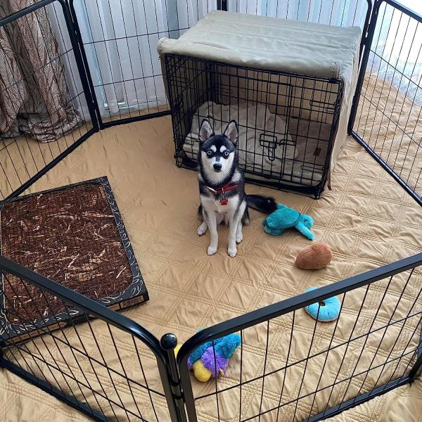 Outdoor Dog Kennels for Large Dogs with Roof, Heavy Duty Metal Dog Enclosures for Outside, Large House Cage Dog Pen