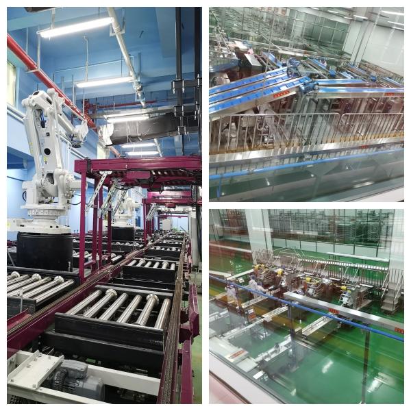 Função de moldagem Linha de embalagem automática 35-150 sacos/min Para embalagem em cartão 250-350 g/m2