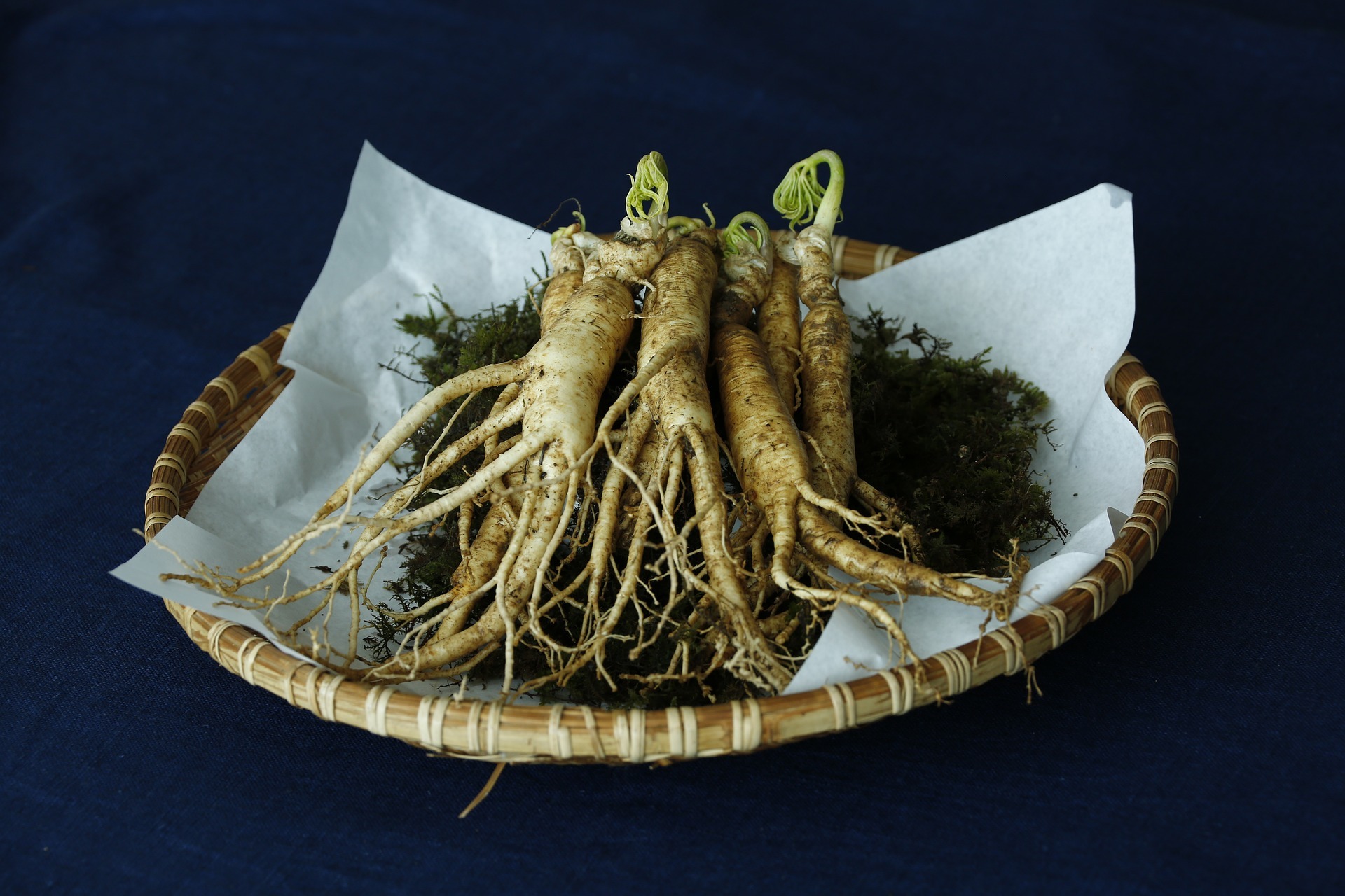 Bee Products Pure ginseng powder Health Supplements