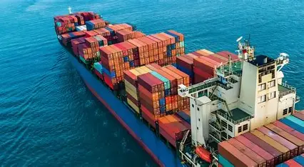 LCL Sea Freight Transportation Customs Clearance Global Coverage Real Time Tracking