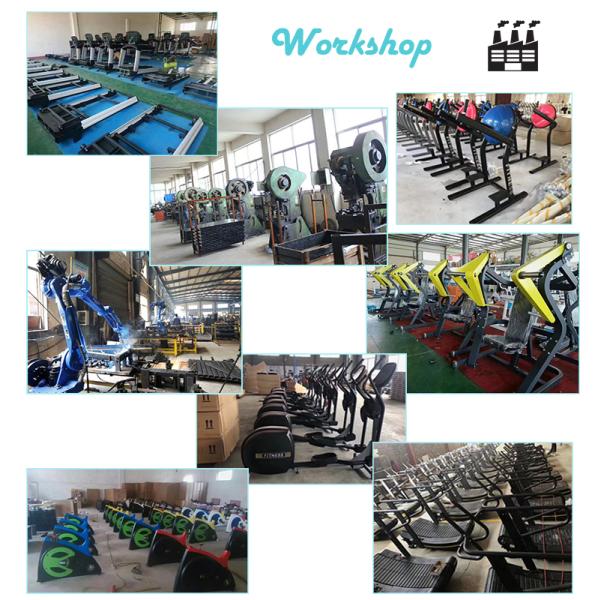 Professional Multi Gym Equipment Welded Frame Bodybuilding With Prone Leg Curl