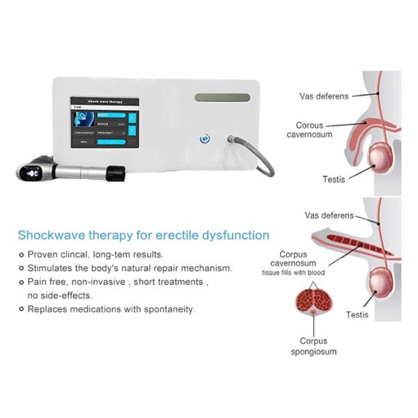 Physical Therapy Equipment Portable Extracorporeal Shock Wave Machine For Bone Muscle Pain Relief Healing
