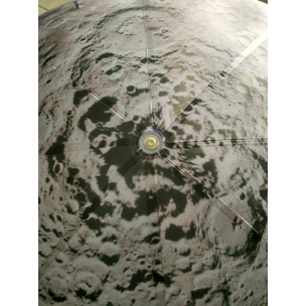 Рекомендуемая реклама наружной ткани из ПВХ Запечатанные надувные воздушные шары на Марс