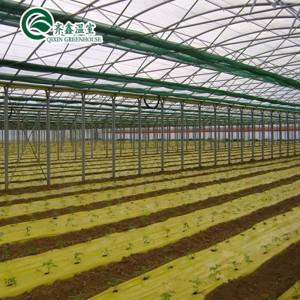 Large-Scale Farming Container with Multi-Span Agricultural Greenhouses