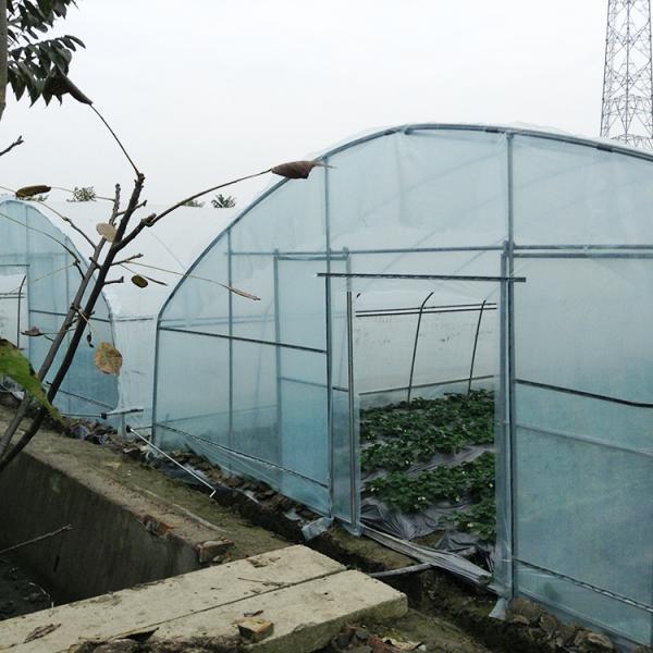 Заводы засаживая парник пяди фильма pe полиэтиленовой пленки 8m 60m стандарта земледелия одиночный