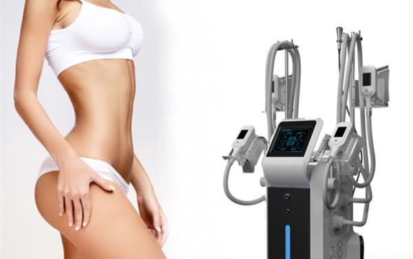 Weight Loss Double Cryotherapy Fat Freeze Pdt Cryoshape Fat Freezing Machine Nubway