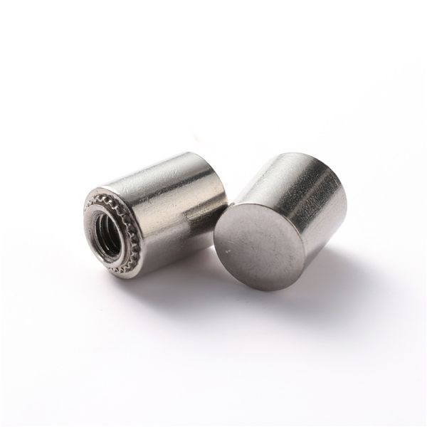 Stainless Steel Self Clinching Blind Fasteners Waterproof Riveting Nut BS Threaded
