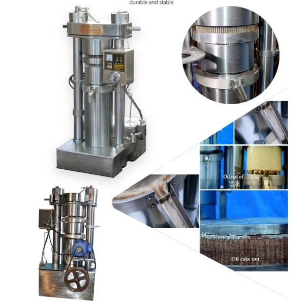 Máquina industrial de la prensa de aceite del sésamo automático con la operación simple