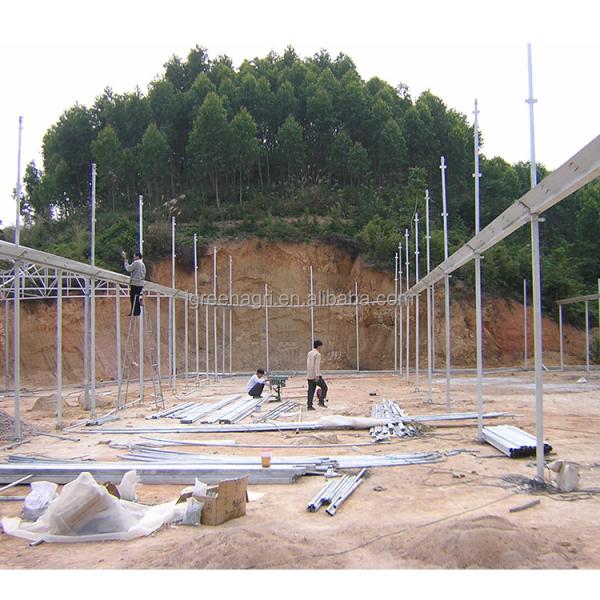 Tomato Growing Agricultural Equipment Roof Vent Free Multi Span Greenhouse
