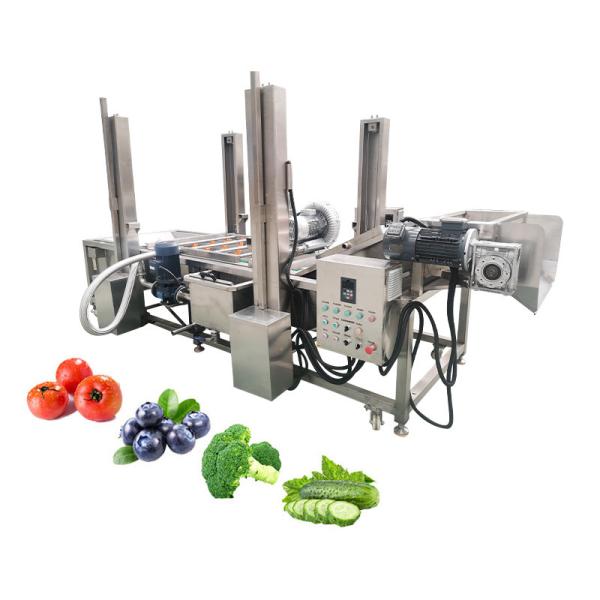 380v/220v/ Máquina de lavar bolhas de mandioca personalizável para lavar frutas e legumes