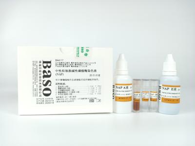 Neutrophiles Leukocytes Alcaline Phosphatase tache ((NAP) 20 tests