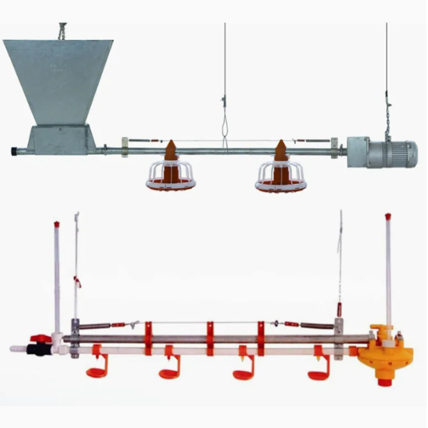 Customized Corrosion Resistant Poultry Farm Ventilation System with Hot-Dip Galvanized Steel and Easy Assembly