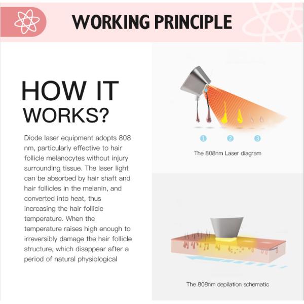 удаление ROHS волос диода лазера 808 платины льда сопрано 1000W Альма