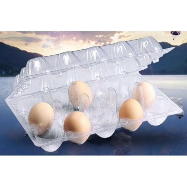 коробок пищевого контейнера клетки пластмассы 2 Индонезии коробки для завтрака 400мл коробка для завтрака Микроваре здоровых японская с палочками пакует