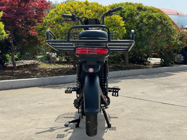 JINNIU-2   650W New Two-Wheeled Electric Vehicle