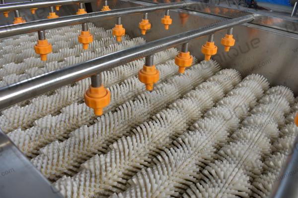 Máquina de limpeza de limpeza de frutas de pêra de 2021 com aço inox 304