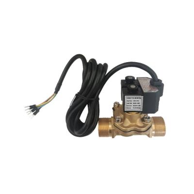 Bernet Brand Dual Flow Valve Solenovid Valve For Fuel Dispenser  Thread
