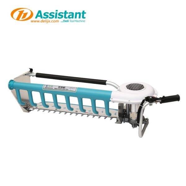 Tea Plucking DL-4Cd-60 Tea Harvester with 36V 20AH Lithium Battery and Electric Drive