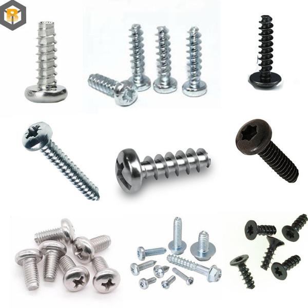 M6 Screws M5*16 Self Tapping Screw Special Fasteners Spare Part with Polishing Finish
