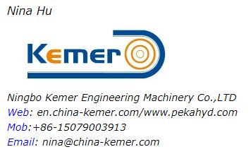 50KN Hydraulic Winch With GM Motor For Crane and Marine Mooring Anchor Winch 11000LBS